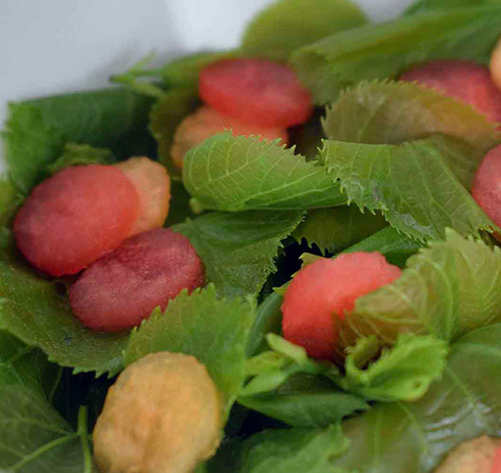 Lindenblatt-Salat mit Melonenkreisen